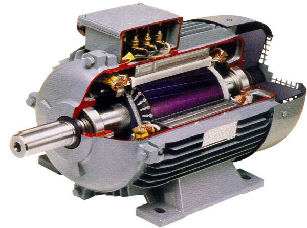 انواع موتور الکتریکی - الکتروموتور