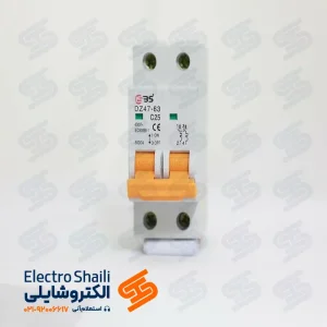 کلید مینیاتوری دو پل 25 آمپر ISBS