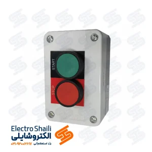 جعبه دو شستی چینت سری NP2
