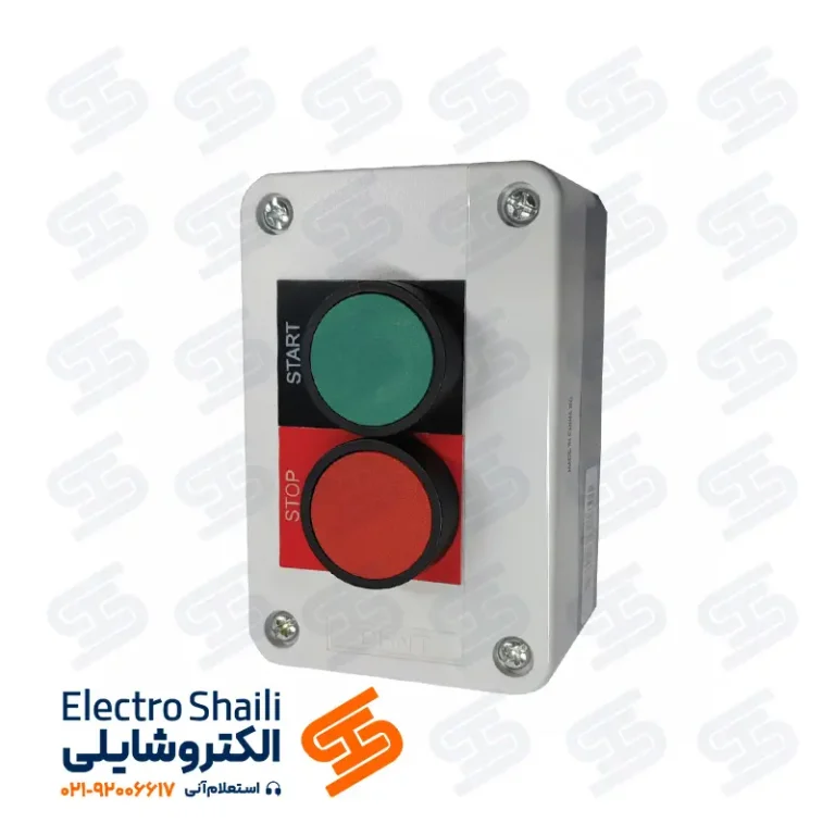 جعبه دو شستی چینت سری NP2
