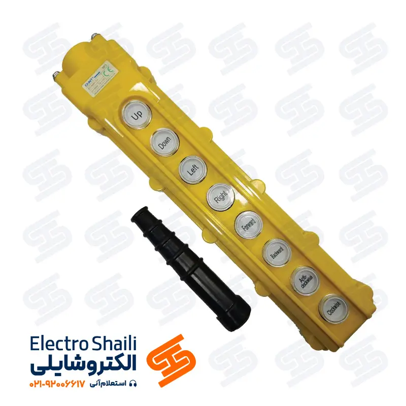 شستی جرثقیل هشت فرمان چینت سری NP3